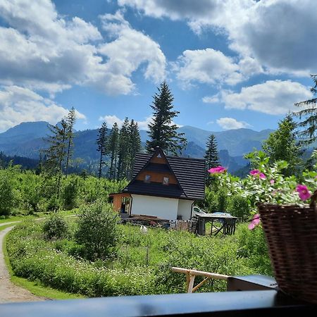 Goralska Chata Przy Dolinie Chocholowskiej Witów Екстериор снимка