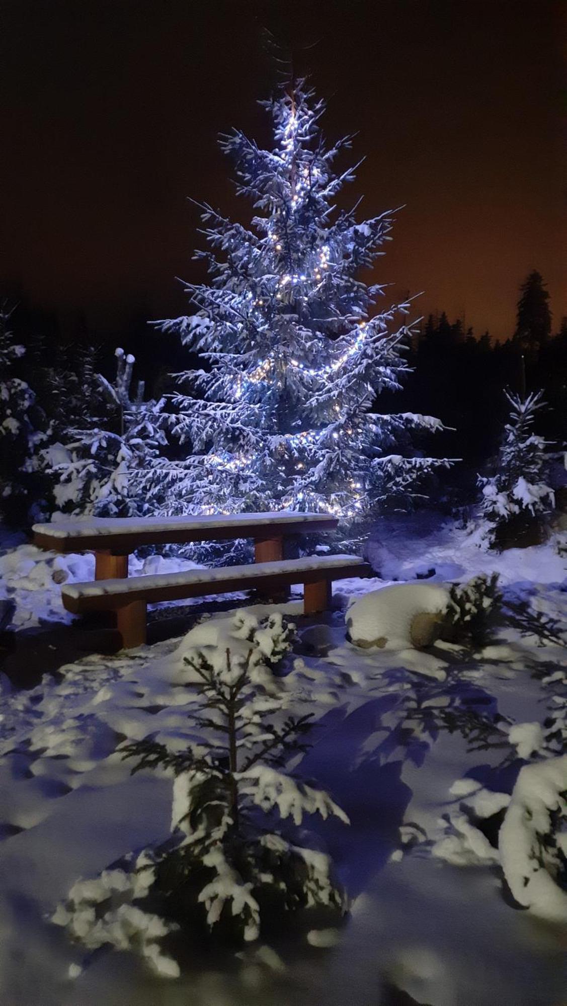 Goralska Chata Przy Dolinie Chocholowskiej Witów Екстериор снимка