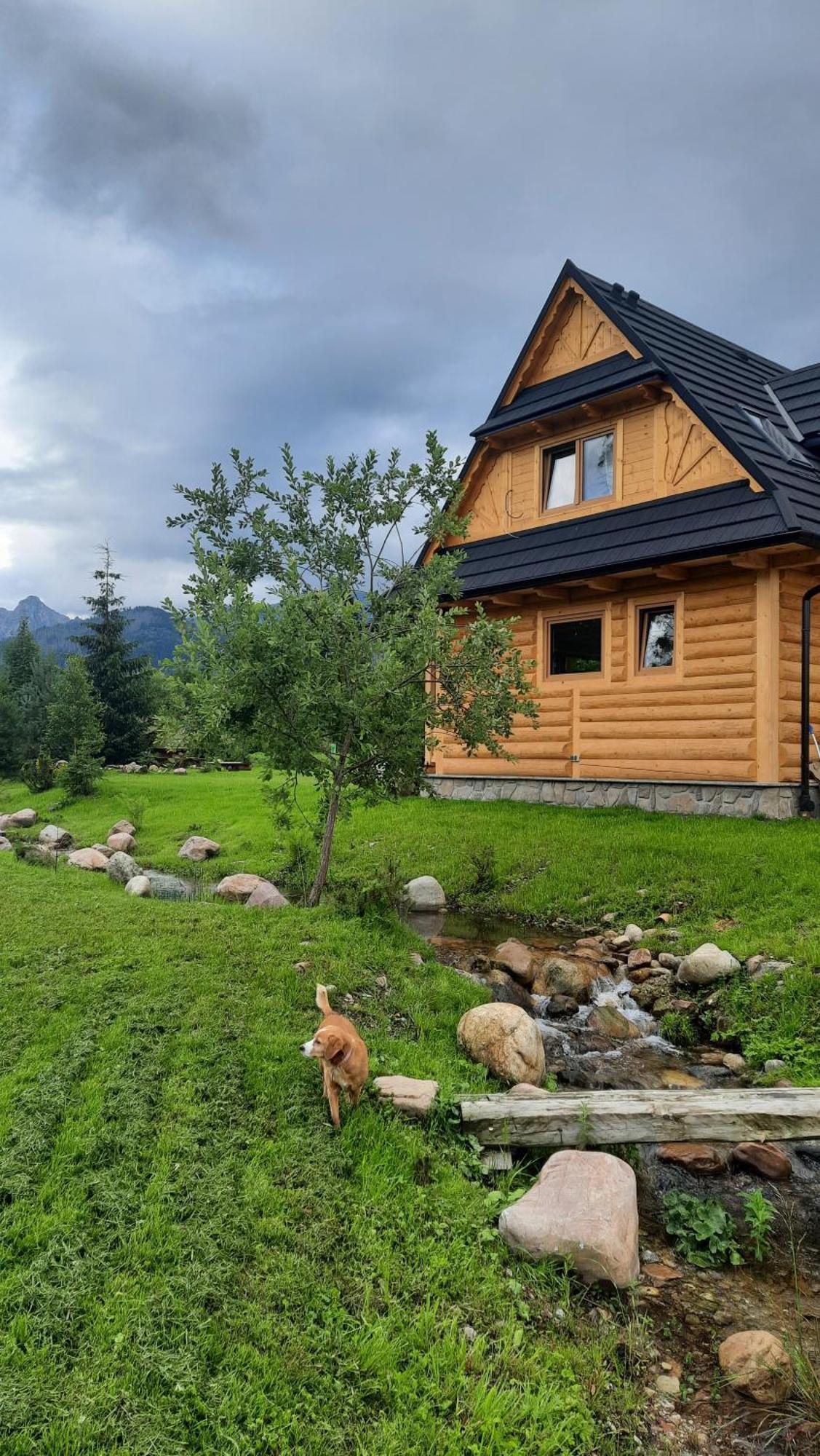 Goralska Chata Przy Dolinie Chocholowskiej Witów Екстериор снимка